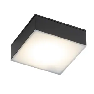 Lampa sufitowa LED 4000K IP44 TOTTORI IL czarna 8577 SHILO